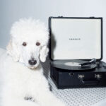 Crosley Portfolio - Black-Ch - Image 3