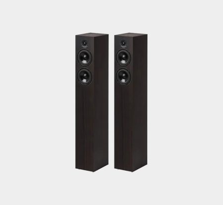 Pro-Ject Speaker Box 10 S2 - Eucalyptus