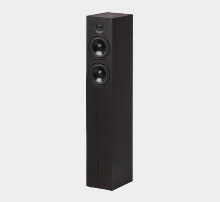 Pro-Ject Speaker Box 10 Ds2 - Eucalyptus