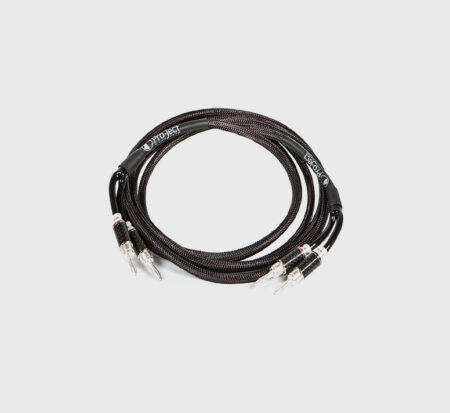 PRO-JECT CONNECT IT LS DS2 2.0M